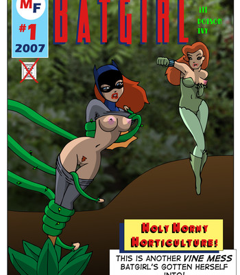 Porn Comics - Batgirl Interrupted