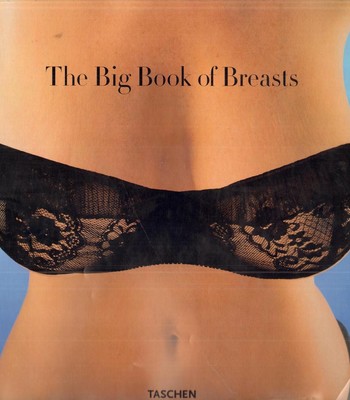 Porn Comics - The Big Book of Breasts