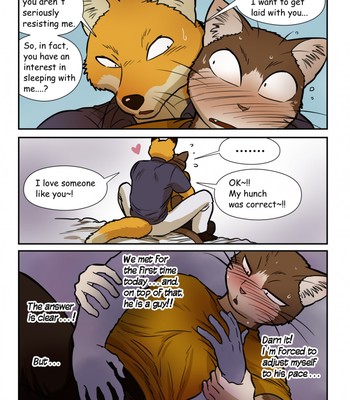 Neko x Neko 2 – Fox and Cat comic porn sex 13