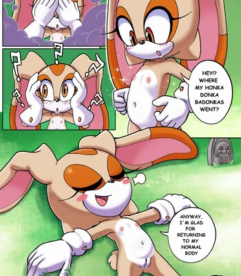 Tails Rush’d: Blazy Mix comic porn sex 40