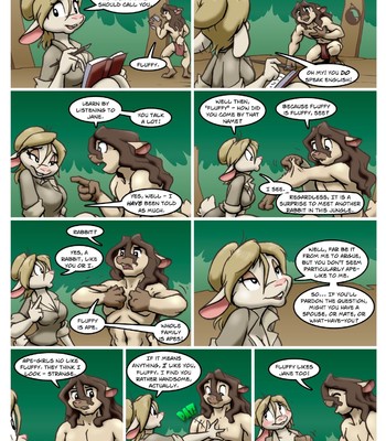 The Continuing Misadventures of Jane Cottontail comic porn sex 5
