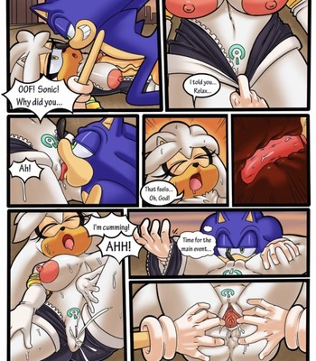 Sonic defeats silver! RULE 63 comic porn sex 3