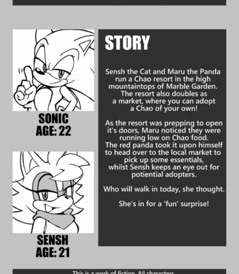 At Your Service (Sonic The Hedgehog) comic porn sex 2