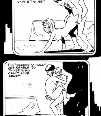The Swinging Dirty Comix comic porn sex 29