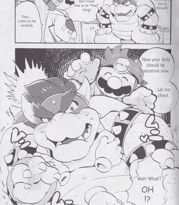 Bowser and Ganondorf – Super Smash Bros comic porn sex 4