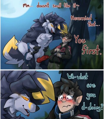 Porn Comics - Lycanroc Woods