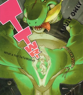 Porn Comics - [Dragon Heart] TTWR! – Legendz