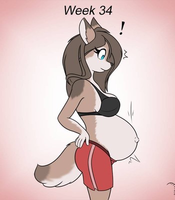 furry pregnancy progression comic porn sex 13