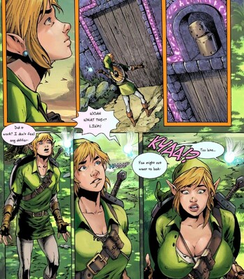 Hyrule’s Hero comic porn sex 3