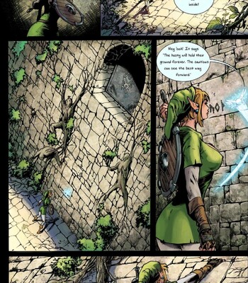 Hyrule’s Hero comic porn sex 7