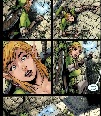 Hyrule’s Hero comic porn sex 8