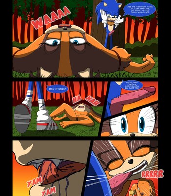 [Murasaki] Wild Heart (Sonic The Hedgehog) comic porn sex 12