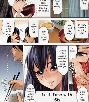 Porn Comics - Last time with sis