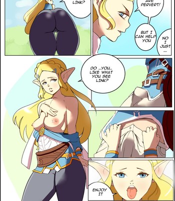 Porn Comics - Zelda’s adventures