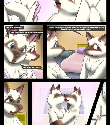Bad Kitties [Kitsune Youkai] comic porn sex 2