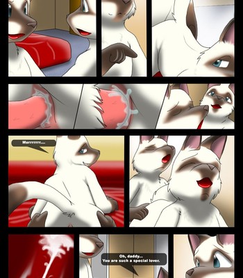 Bad Kitties [Kitsune Youkai] comic porn sex 8