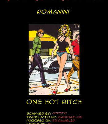 Porn Comics - One Hot Bitch