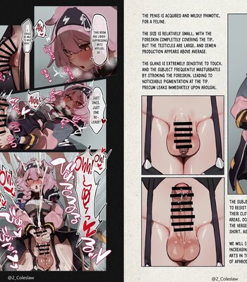 Futanarika Oyobi Seiyoku Zoukyou Arts Keika Kansatsu Kiroku Jutsushihen comic porn sex 3