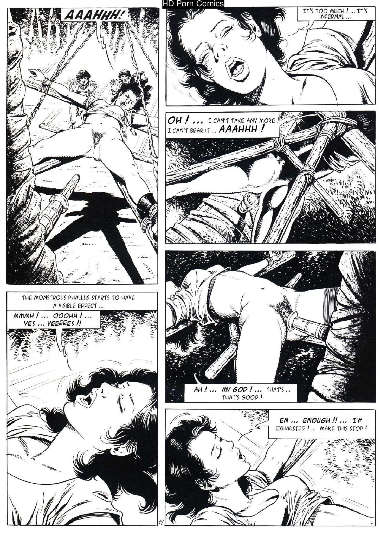 Lady Travel comic porn sex 12
