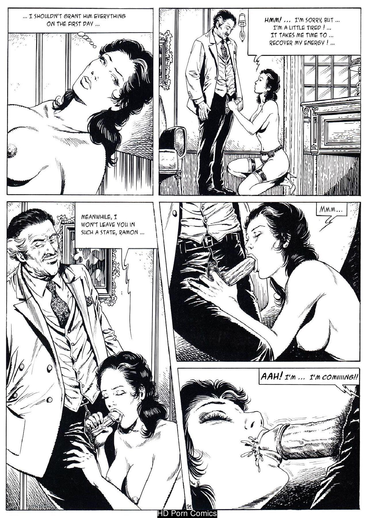 Lady Travel comic porn sex 22