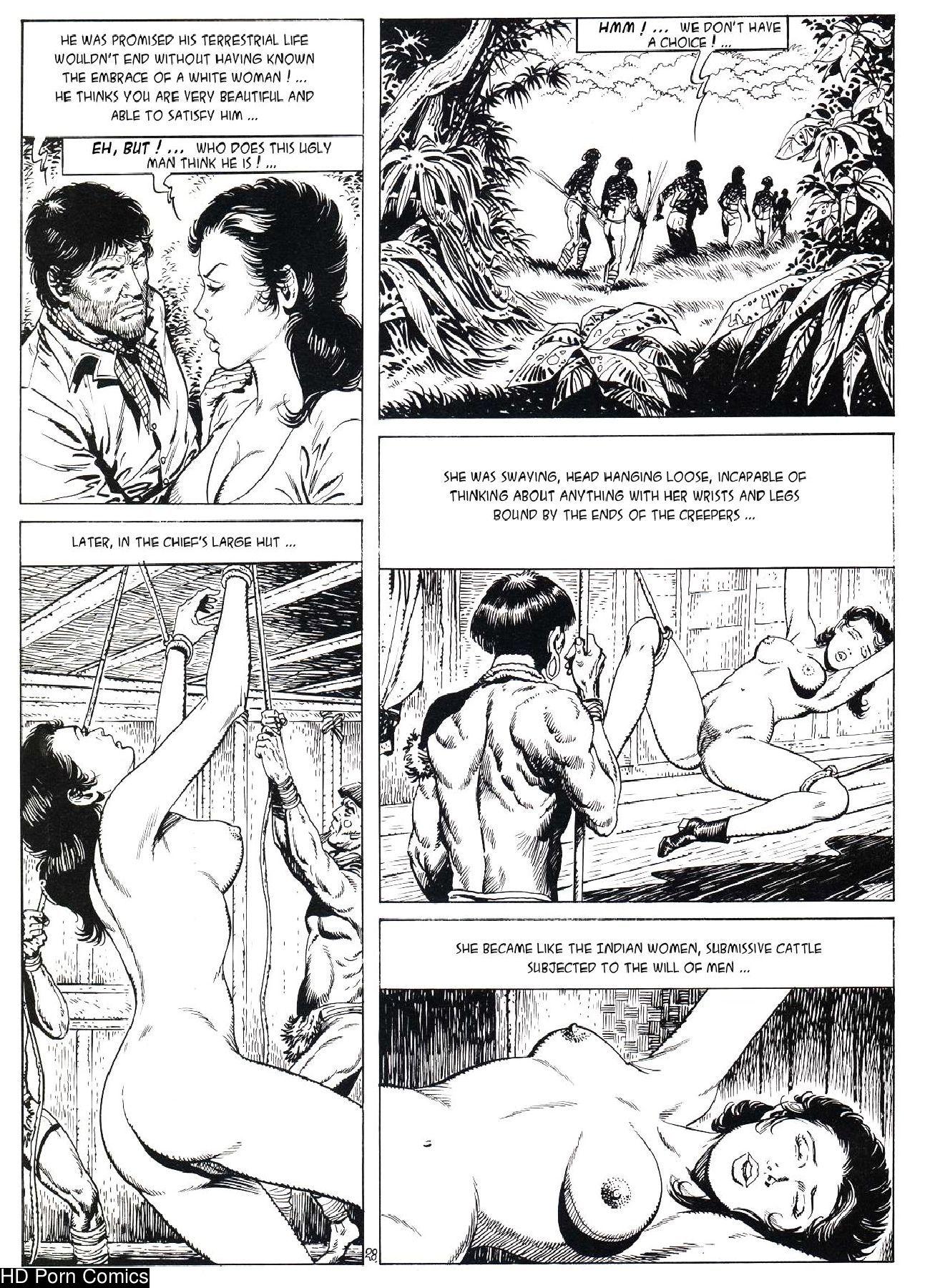 Lady Travel comic porn sex 29