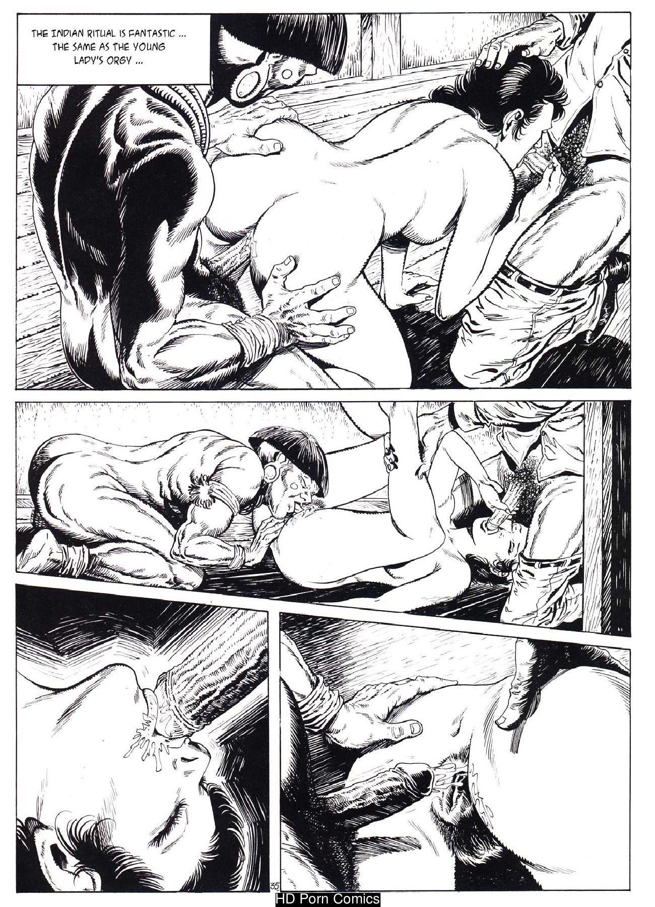 Lady Travel comic porn sex 36