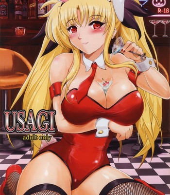 Porn Comics - [Shouchuu MAC (Hozumi Kenji)] USAGI (Mahou Shoujo Lyrical Nanoha) [English] [Tigoris Translates]