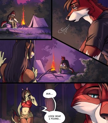 Porn Comics - Campfire Activities