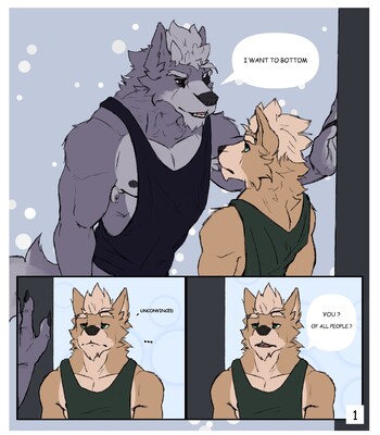 Porn Comics - Fox & Wolf mini comic | Toroi