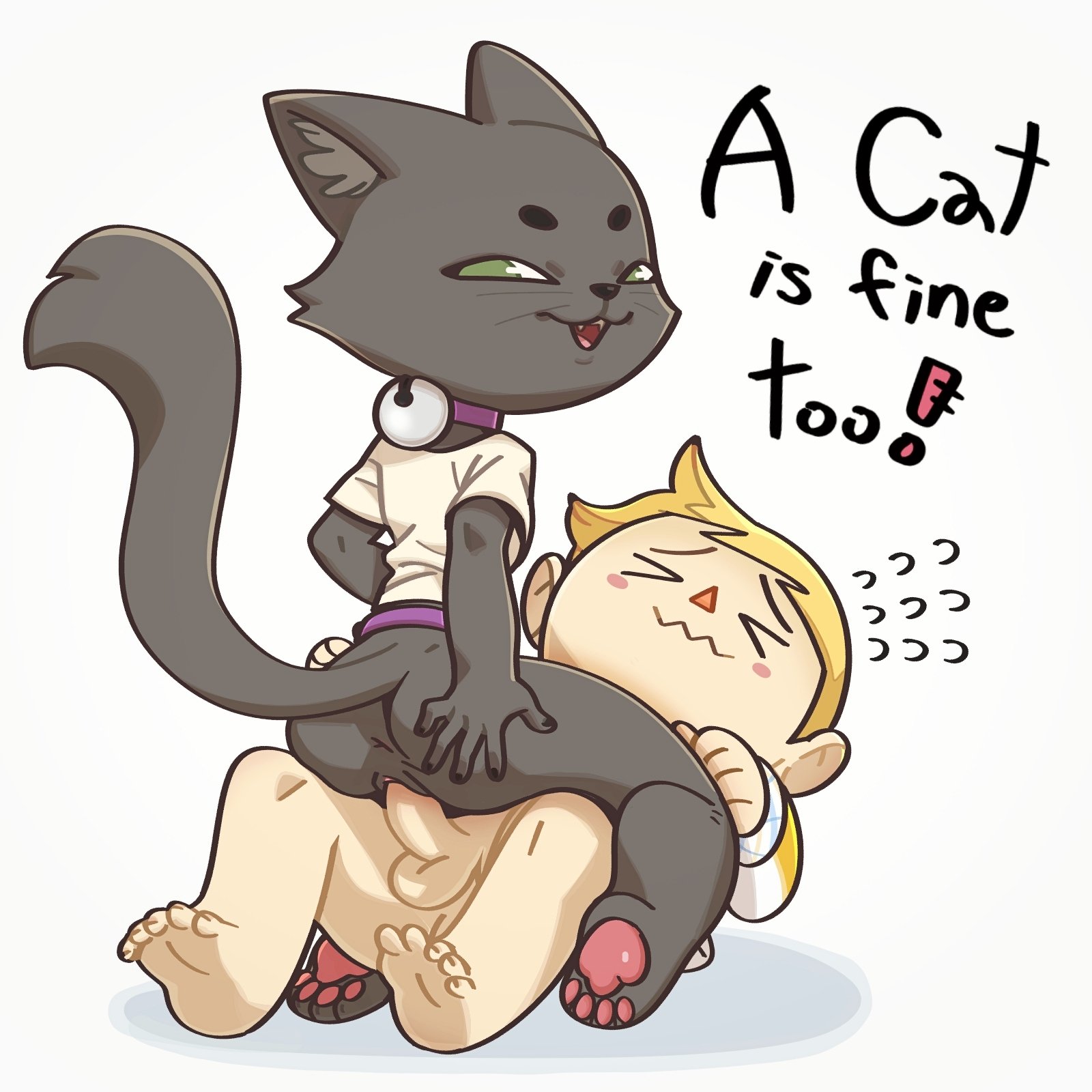 Cat Porn Pics