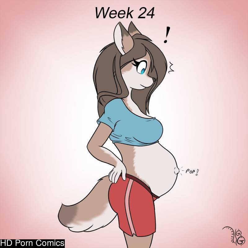 Furry Sexy Nude Pregnant - furry pregnancy progression comic porn - HD Porn Comics
